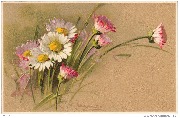 Wenn die Blumen erwachen (marguerites)