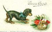 Bonne Année Chien observant un panier de Nouvel-An