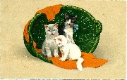 Trois chatons jouant  dans un panier vert