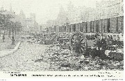 Antwerpen De verlaten steenplaats na de aftocht van het belgisch leger