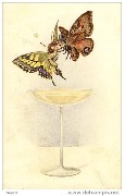 (femme-papillon et homme-papillon s'embrassant au dessus d'une coupe de champagne)