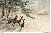 (2 biches et un cerf dans la neige observant de loin un train)