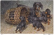 Teckel noir avec ses chiots jouant dans un panier d'osier