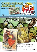 CP-Mag 21. Carte Postale Magazine. Art Nouveau