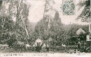 Bouillon-Esplanade Après le cyclone du 9 août 1905
