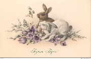 Joyeuses Pâques! (lapin blanc et lapin brun regardant 2 papillons)