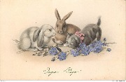 Joyeuses Pâques! (lapin blanc, lapin brun et chat regardant une lucane)