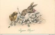 Joyeuses Pâques! (bouquet de paquerettes avec lapin blanc, lapin brun et poussin)