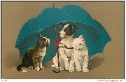 (2 chats et un fox-terrier sous un parapluie bleu)