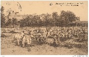 Diestersweg's Schoolkolonie te Heide. Op het zandplein (achterzijde)