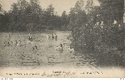 Heide-Calmpthout. Heide Zwemdok