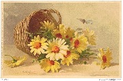 Blumenfulle (panier d'asters jaunes)