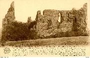Environs de Nismes. Les ruines du Château de Fagnolles