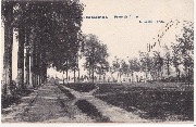 Tirlemont-Slichsteen Porte de Linter