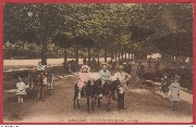 Bruxelles.Parc du Cinquantenaire Les ânes