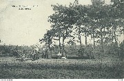 Heide-Calmpthout Boschzicht