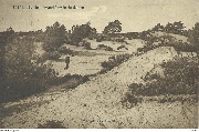 Heide. Wandeling in de duinen