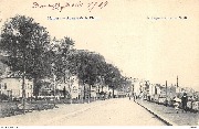Namur. Avenue de la Plante