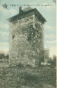 Amay. Ruines du Château des Waroux, rue du Bibea