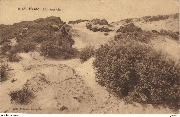 Heide. Duinenzicht