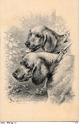 Deux chiens de chasse