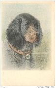 Cocker