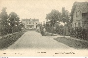 Hoogboom (Cappellen). Les Drèves