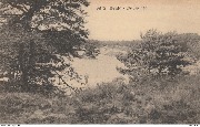 Heide. De Duinen