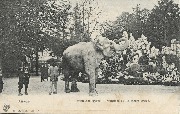 Anvers - Jardin Zoologique, promenade de l'éléphant dressé