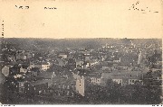 Nivelles, Panorama
