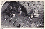 Folx-Les-Caves. Grandes champignonnières Retour de la cueillette