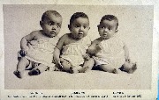 Andréa Julienne Denise Les trois soeurs jumelles de Mme Sempels nées le 1er janvier 1931 144 chée d'Ottergem à Gand