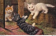 (3 chatons jouant autour d'un panier)