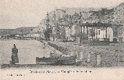 Dinant. Bords de la Meuse - Vue générale de Dinant