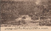 Environs de Spa - Vallée de la Hoëgne - Le Chêne rustique
