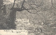 Environs de Spa - Vallée de la Hoëgne - Le Chêne Rustique