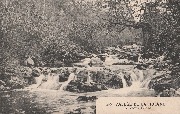  Vallée de la Hoëgne - Le Vieux Chêne