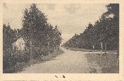 Malmédy. Mont Rigi