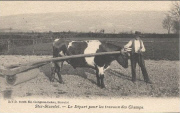 Ster-Stavelot. - Le d&eacute;part des travaux