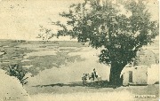3. Sc&egrave;ne du Caire. Cavalier &agrave; l'ombre d'un arbre