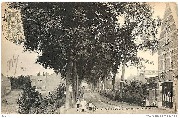 Gembloux. Avenue de la Station
