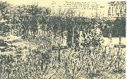 Tombe du cimetière de Pont Brûlé où repose le Caporal Trésignies