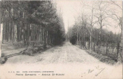 PETITE-ESPINETTE. Avenue St Hubert.