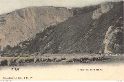 Freyr. Un troupeau de moutons