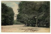 Bruxelles. Au Bois, la Cloche