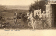 Souvenir des Ardennes Un attelage