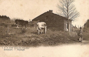 Botassart. Paysage