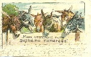 Nous cherchons un septième camarade (6 ânes)