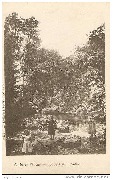 Vallée de l'Aisne - Affluent de l'Ourthe