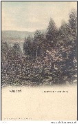 Waulsort. Vue prise des Cascadelles